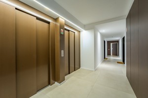v52pm49g2r8n7goexj336.jpg