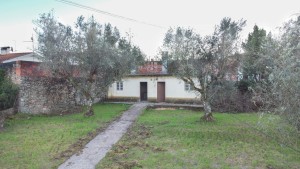 5npm359fsykoab4sq2uxoa.jpg