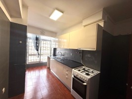 8jo3mr7p14wgypkpnr7mjf.jpg