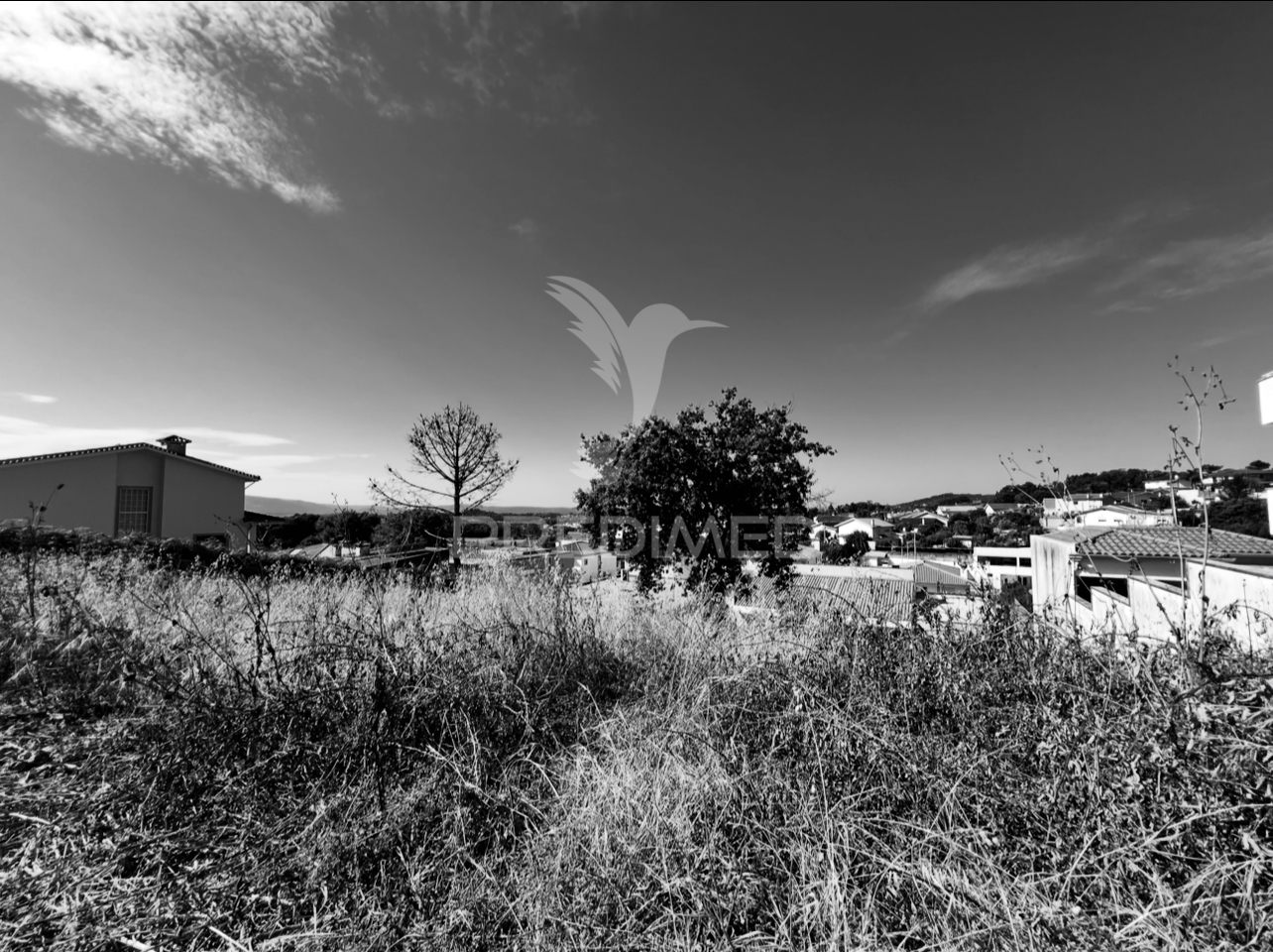 Terreno