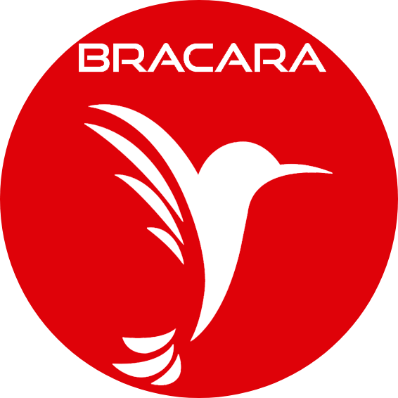 PREDIMED BRACARA